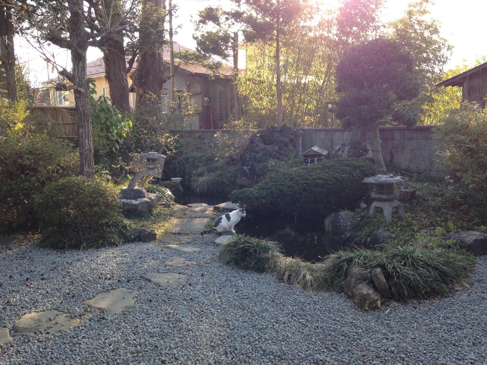 Mt Fuji Historical Oshi House Hitsuki Hotel Fujiyoshida Exterior photo